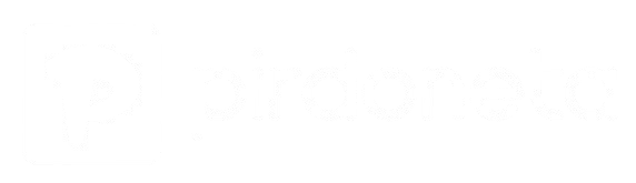 Pirdoneta Logo